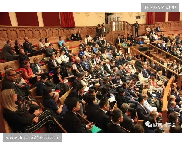 尼斯俱乐部：聚焦球队历史、文化与未来发展的全方位剖析