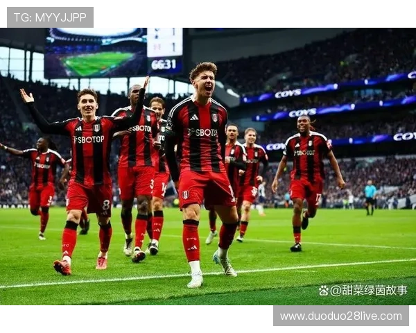 富勒姆俱乐部宣布新赛季阵容调整 并加强防线引进新援