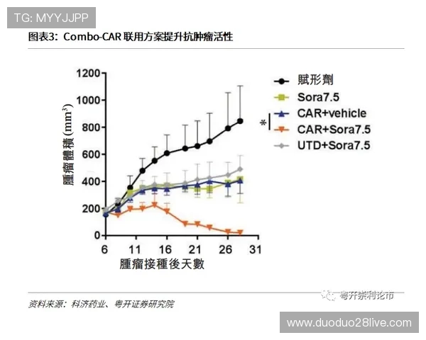 粤超联赛最新赛程与积分动态全面解析及球队表现深度报告